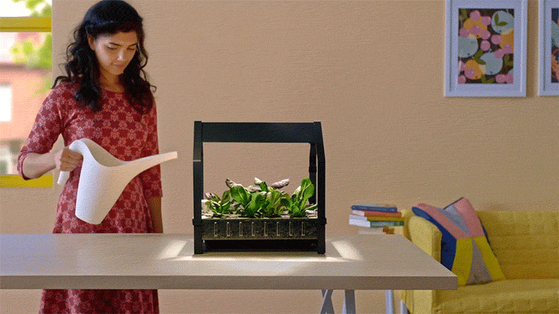 The KRYDDA/VÄXER series, an indoor gardening series by IKEA