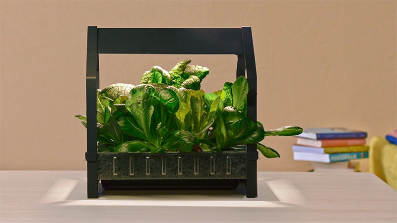 The KRYDDA/VÄXER series, an indoor gardening series by IKEA