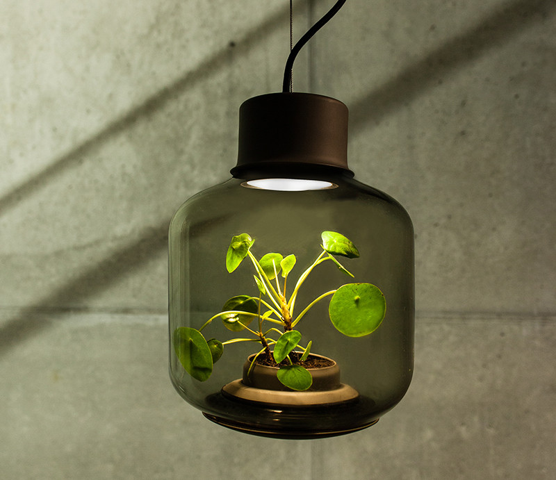 The Mygdal Plantlamp designed by Studio We Love Eames