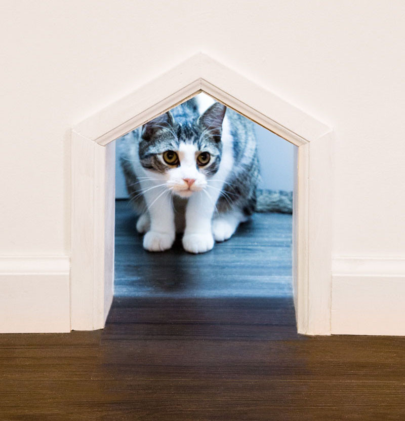 See Inside This Cat Cafe In New York