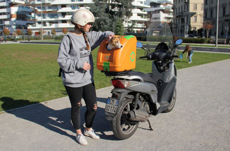 This hardshell pet carrier has been designed to transport pets on scooters