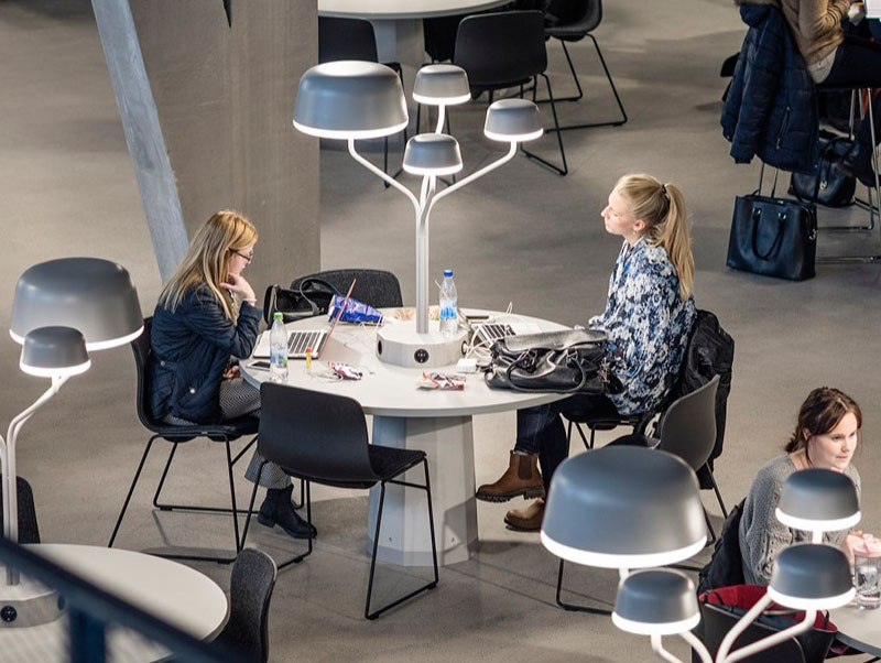 Organically shaped custom lamps were designed for this study space