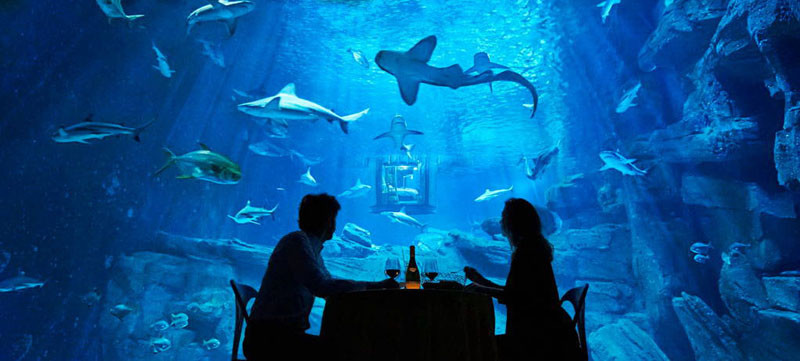 Underwater Room at Aquarium de Paris, via Airbnb