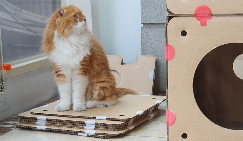 BoxKitty, a modular cardboard cat castle