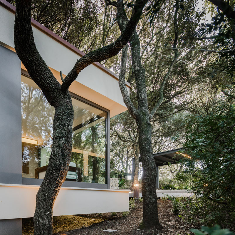 The House in the Woods, a detached extension, designed by Officina29 Architetti