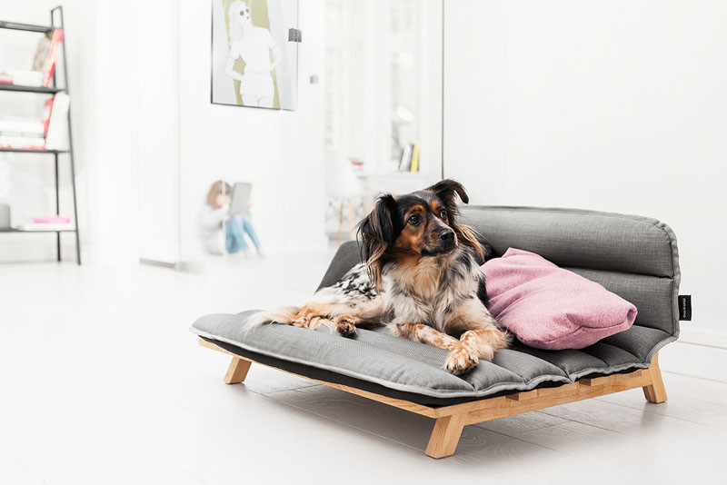 Dog Den for Mnomo by Razy2 Design Group