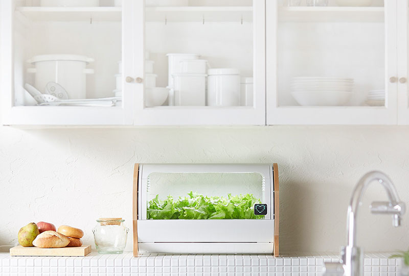 This modern countertop hydroponic garden lets you grow food from a single seed. #HydroponicGarden #CountertopGarden #HerbGarden #VegetableGarden