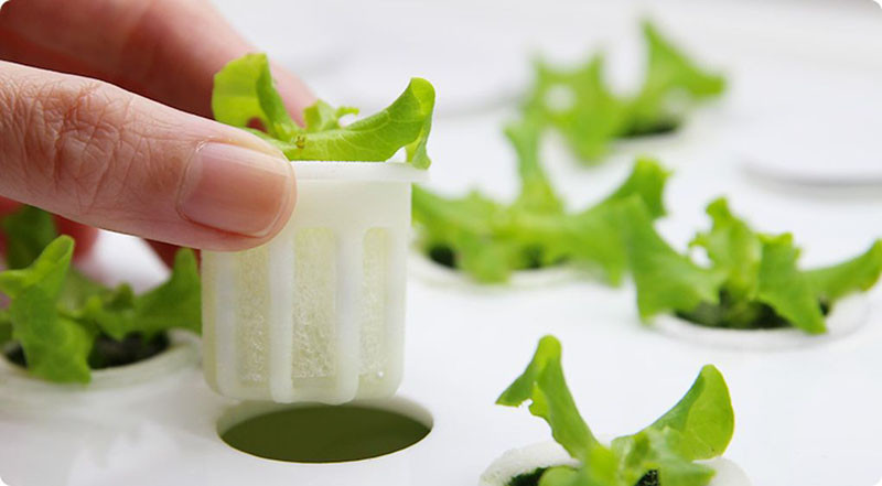 This modern countertop hydroponic garden lets you grow food from a single seed. #HydroponicGarden #CountertopGarden #HerbGarden #VegetableGarden