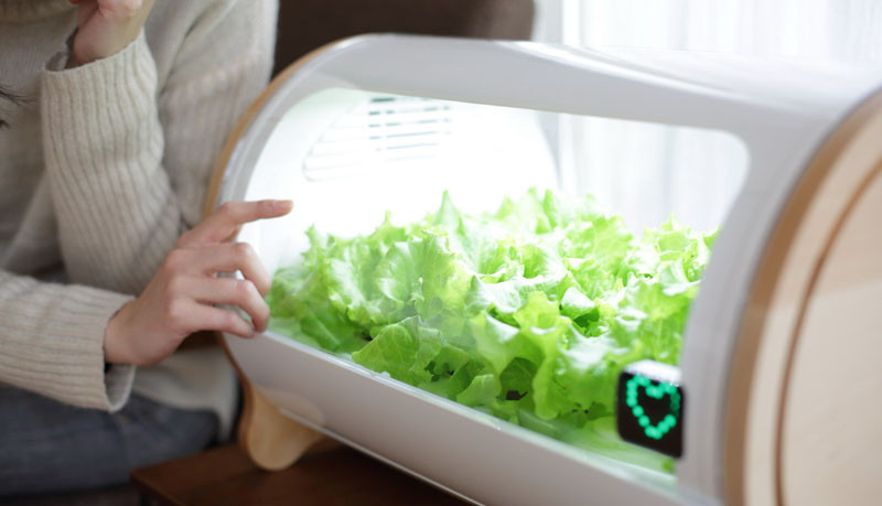 This modern countertop hydroponic garden lets you grow food from a single seed. #HydroponicGarden #CountertopGarden #HerbGarden #VegetableGarden