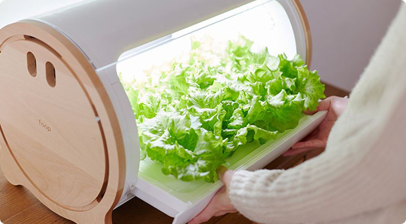 This modern countertop hydroponic garden lets you grow food from a single seed. #HydroponicGarden #CountertopGarden #HerbGarden #VegetableGarden