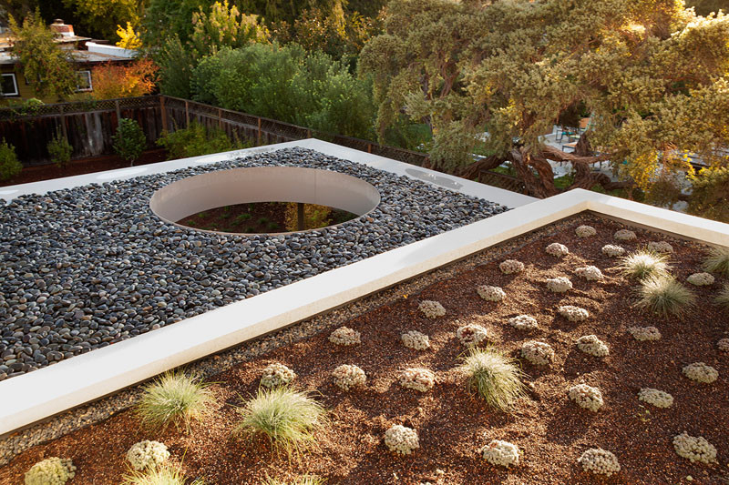 This modern house has a green roof. #GreenRoof #Architecture