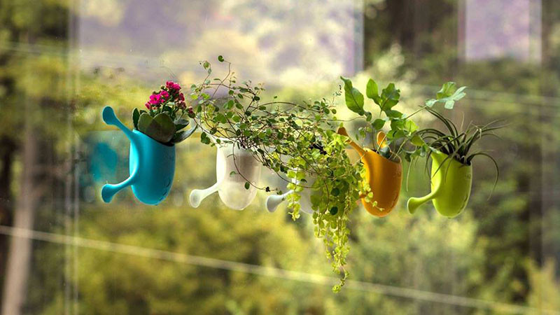 Livi, a cute little planter that sticks to most surfaces