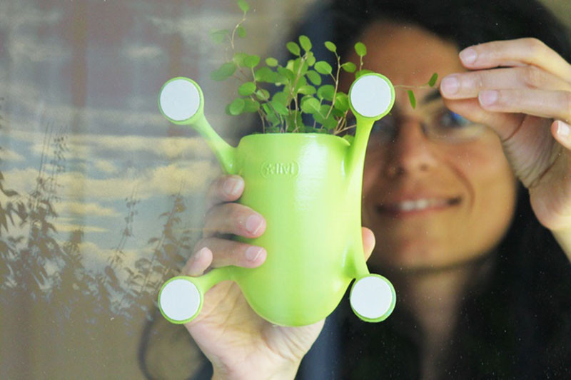 Livi, a cute little planter that sticks to most surfaces