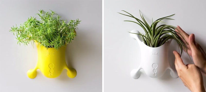 Livi, a cute little planter that sticks to most surfaces