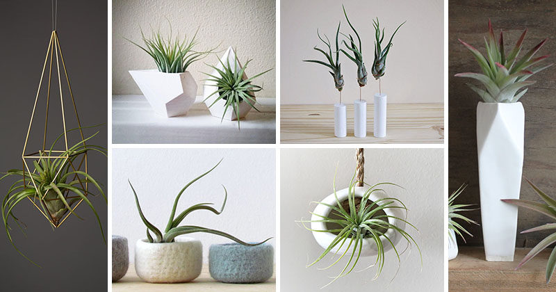 12 Elegant Ways To Bring Air Plants Into Your Home #AirPlants #ModernHomeDecor #Planters #ModernDecor