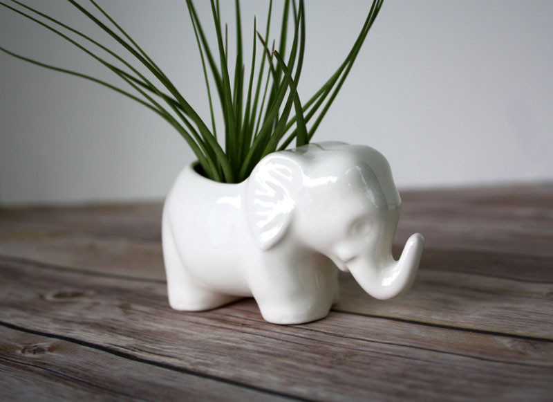 12 Elegant Ways To Bring Air Plants Into Your Home // Add a touch of whimsy to your decor when displaying your air plants, with this tiny ceramic elephant. #AirPlants #ModernHomeDecor #Planters #ModernDecor