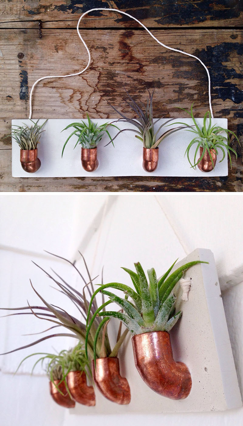 12 Elegant Ways To Bring Air Plants Into Your Home // This copper and concrete air plant holder gives your plants a modern home on the wall. #AirPlants #ModernHomeDecor #Planters #ModernDecor