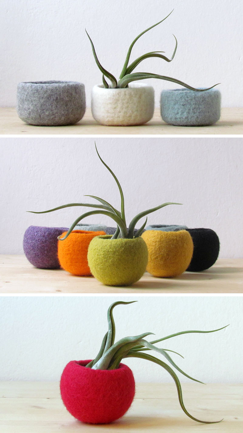 12 Elegant Ways To Bring Air Plants Into Your Home // These felted bowls make great holders for air plants, and because they come in a wide selection of colors, they can match any color scheme. #AirPlants #ModernHomeDecor #Planters #ModernDecor