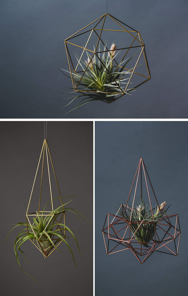 12 Elegant Ways To Bring Air Plants Into Your Home // These air plant holders add a modern geometric element to any room. #AirPlants #ModernHomeDecor #Planters #ModernDecor