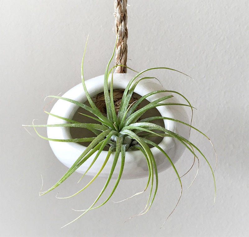 12 Elegant Ways To Bring Air Plants Into Your Home // This ceramic air plant holder adds an additional element of nature with a sisal rope hanger. #AirPlants #ModernHomeDecor #Planters #ModernDecor
