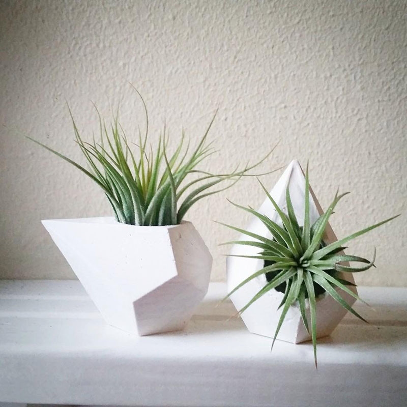 12 Elegant Ways To Bring Air Plants Into Your Home // These teardrop designs add a touch of contemporary to your mantle. #AirPlants #ModernHomeDecor #Planters #ModernDecor