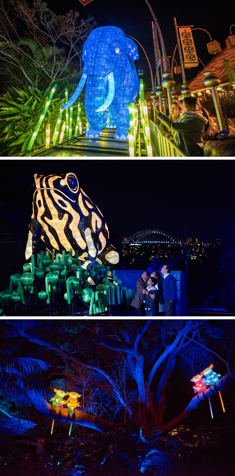 VIVID 2016, a light, music and idea festival, takes over Sydney, Australia for 23 nights.