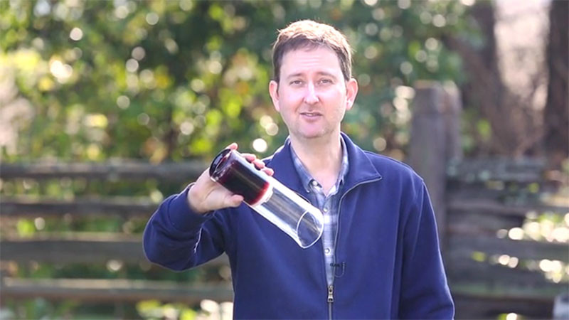 Wine Squirrel: The Decanter That Preserves Wine for Weeks