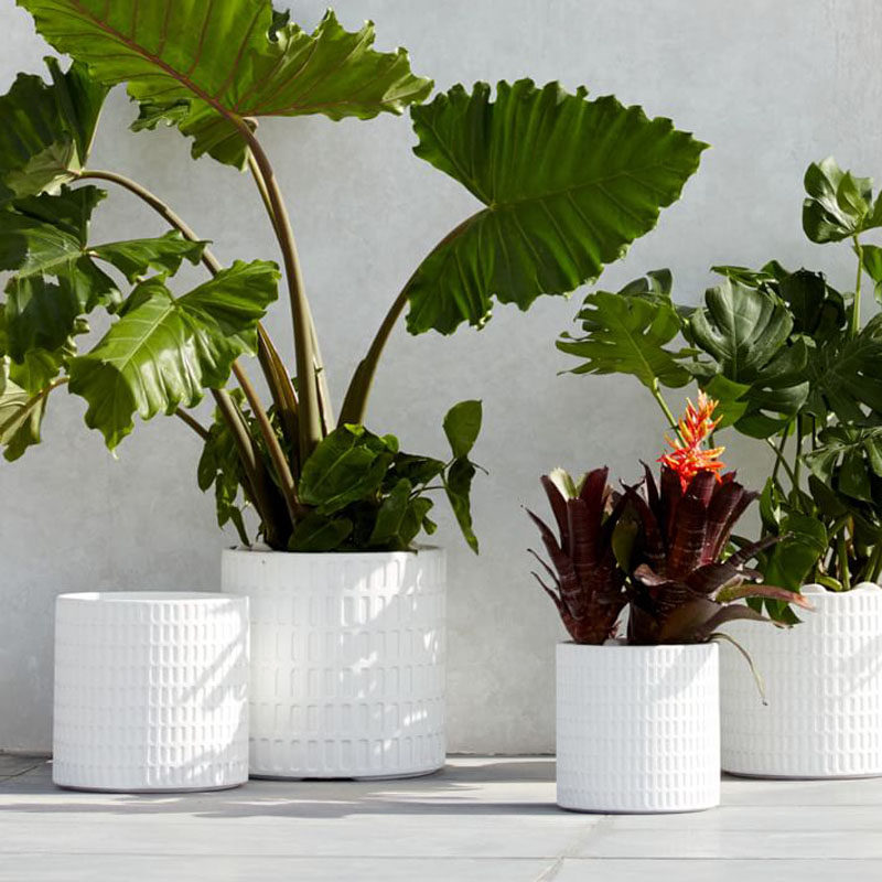How To Make Your Balcony Awesome For Summer // Depending on the size of your balcony, you might want to add some planters with leafy palms and ferns in varying heights to create an inviting 'tropical feel.