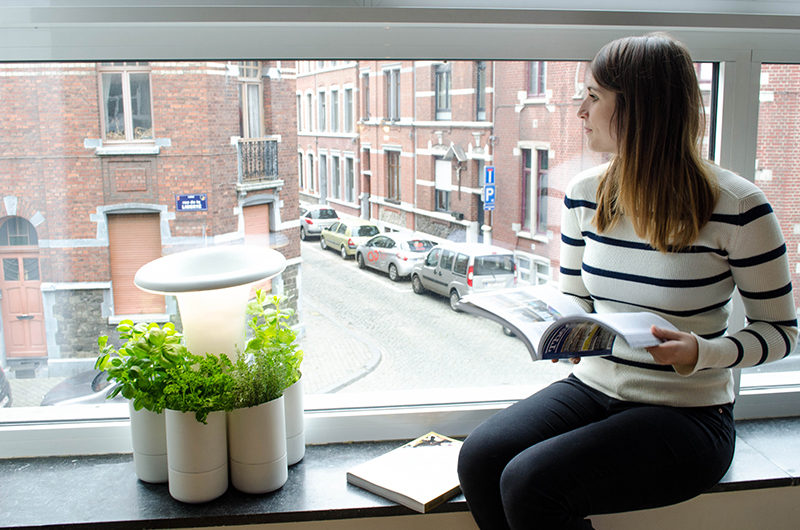 Calla, an indoor hydroponic herb planter