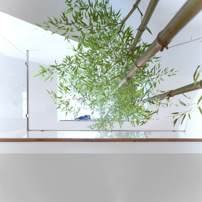 Above this staircase there is a large skylight centered over a bamboo garden. The bamboo rises up from the lower floor and eventually will reach the height of the second floor.