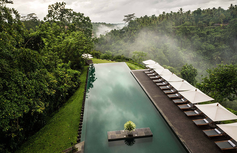 10 Incredible Hotel Rooftops From Around The World // 1. The infinity pool on the roof of the Ubud Hotel in Bali appears to float above the Ayung River valley underneath it.