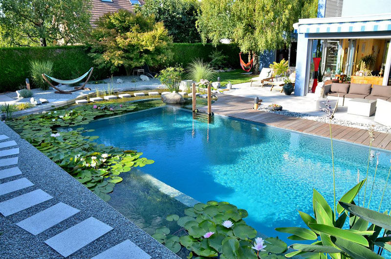 What Is A Natural Swimming Pool? We Explain.