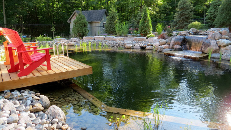 What Is A Natural Swimming Pool? We Explain.