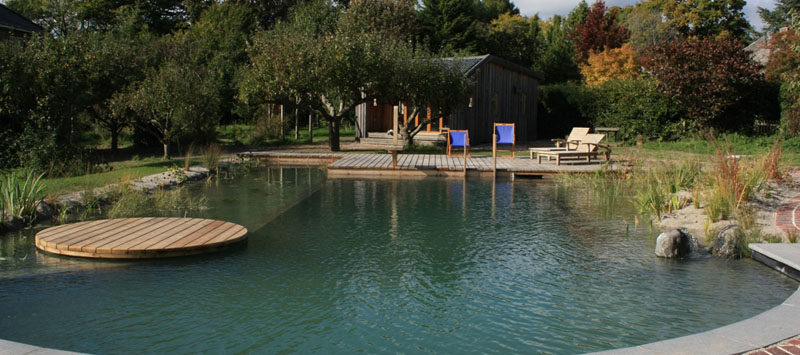 What Is A Natural Swimming Pool? We Explain.