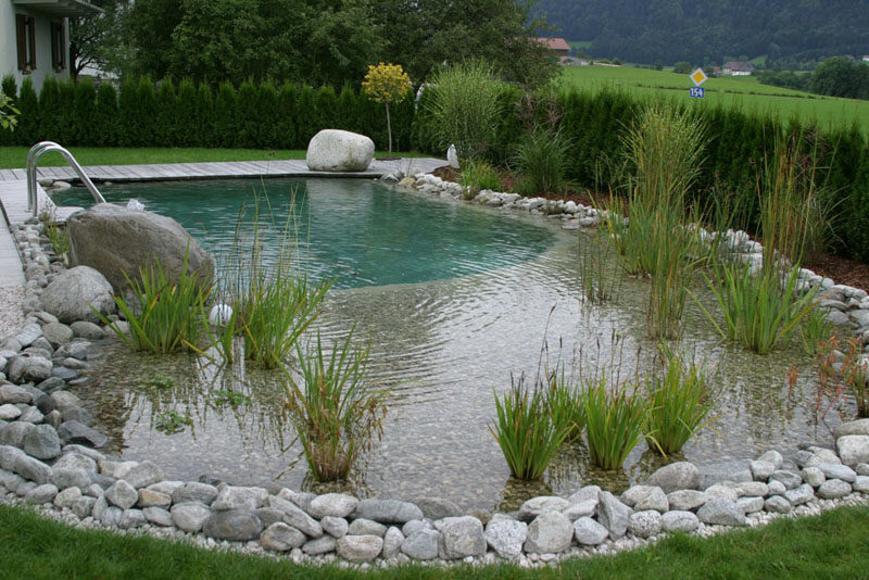 What Is A Natural Swimming Pool? We Explain.