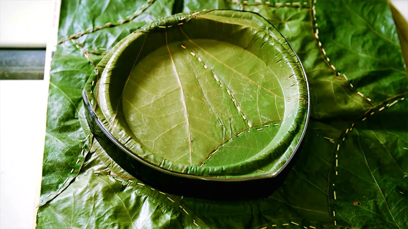 These 100% Recyclable Plates Are Made From Leaves