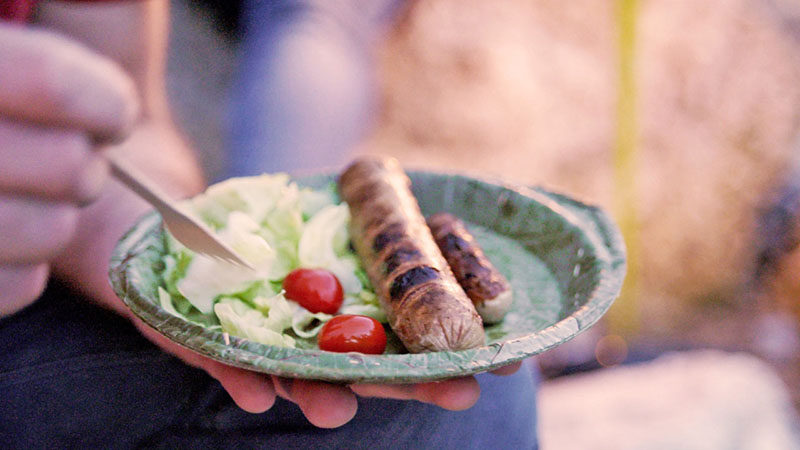 These 100% Recyclable Plates Are Made From Leaves