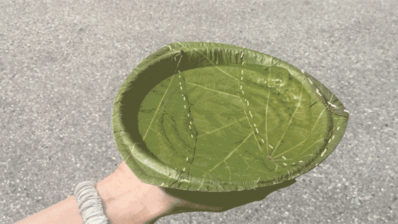 These 100% Recyclable Plates Are Made From Leaves