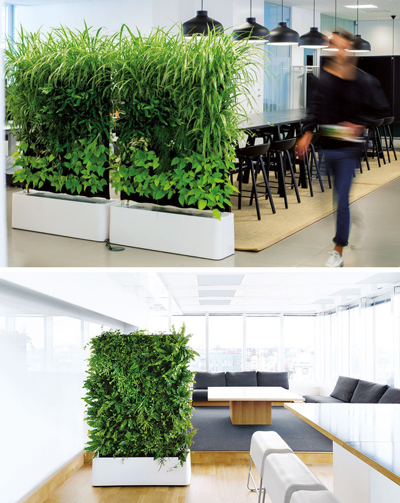 15 Creative Ideas For Room Dividers // These plant walls are a great way to divide spaces because they offer sound absorption and purify the air.