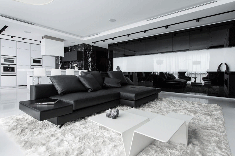 Along the wall in this black and white themed apartment, are black glass shelving units, with the white part serving as a decorative background.