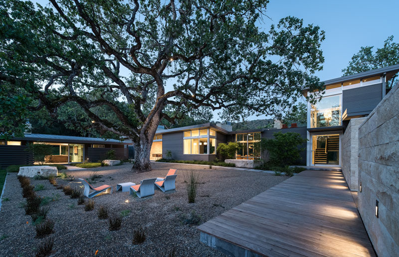 This home has been designed in a horse-shoe shape around a 100-year-old Valley Oak, that provides shade for the surrounding courtyard.