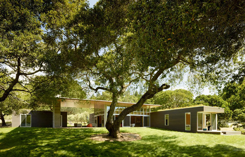 This house, designed by Turnbull Griffin Haesloop Architects, is a single floor home that has multiple areas that open to the outdoors.