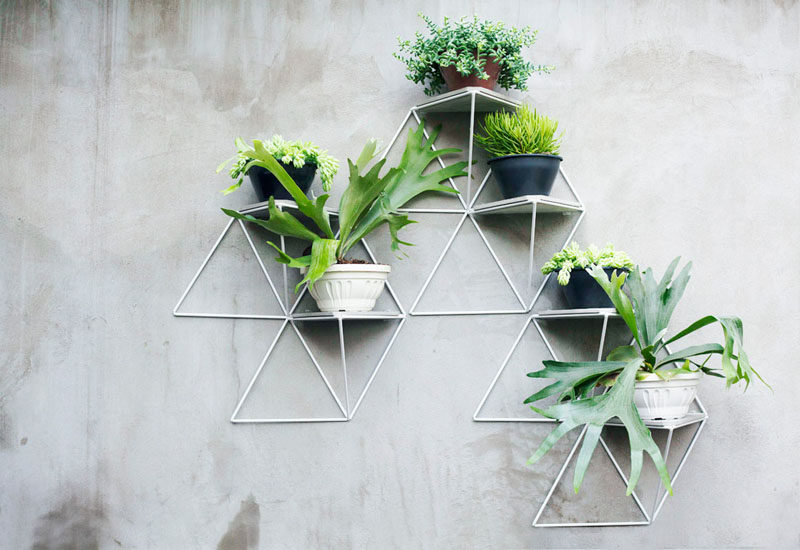 The modular geometric shelves are perfect for displaying your plants.