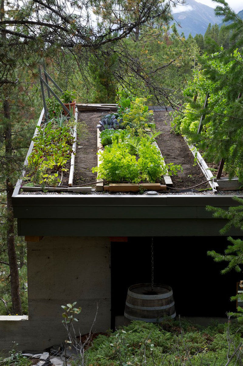  5 Things You Need For The Best Off-The-Grid Cabin // Food -- A fruit and vegetable garden is a must-have!