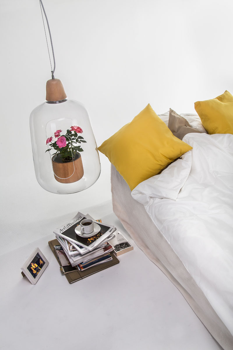 This modern lamp Each lamp can be used as either a table or pendant lamp, and has a small section cut out from the glass shade, allowing a small plant to be placed inside. #Lamp #LampWithPlan #Design #Decor #Lighting