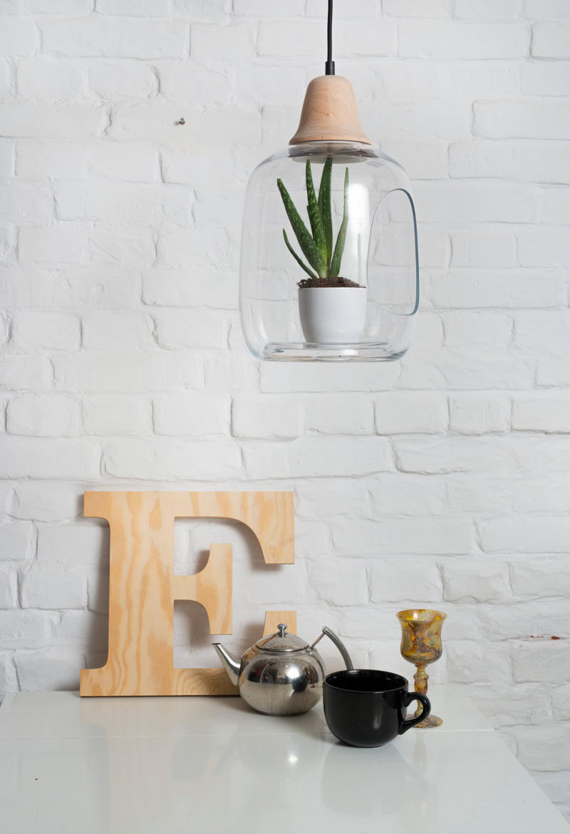 This modern lamp Each lamp can be used as either a table or pendant lamp, and has a small section cut out from the glass shade, allowing a small plant to be placed inside. #Lamp #LampWithPlan #Design #Decor #Lighting