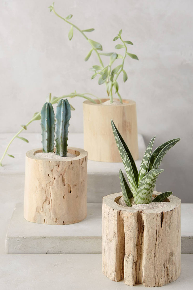 9 Ideas For Including Tree Stumps In Your Home Decor // These little tree trunks are a cute way to give a stumpless plant the trunk it's always dreamed of, plus they just add to the naturalness of your decor.