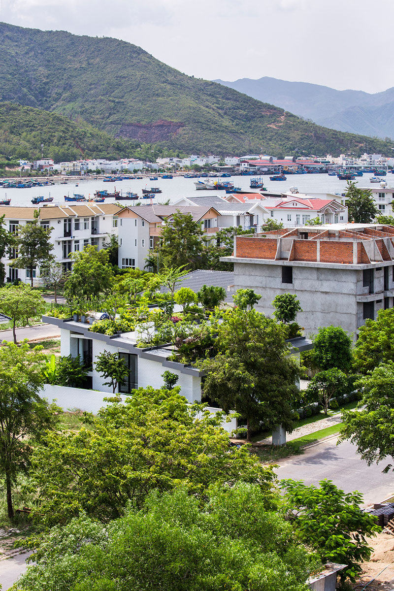 This home with a terraced roof with plants really stands out compared to other homes in the neighborhood.