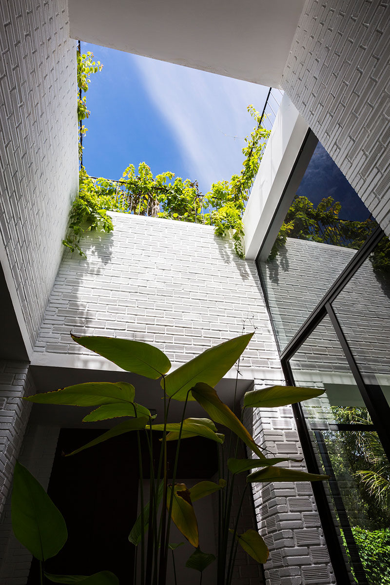 In the middle of this roof is an opening that can be seen from the interior of the home. As time goes on, this void will be lined with vines, creating a unique green space.