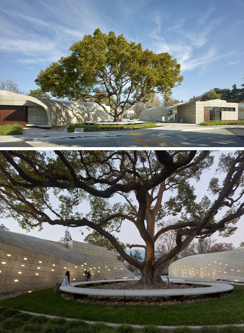 Belzberg Architects Have Designed A Serene Outdoor Sanctuary With Sculptural Concrete Seating